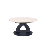 COFFEE TABLE CT125 (2)