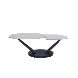 COFFEE TABLE CT126