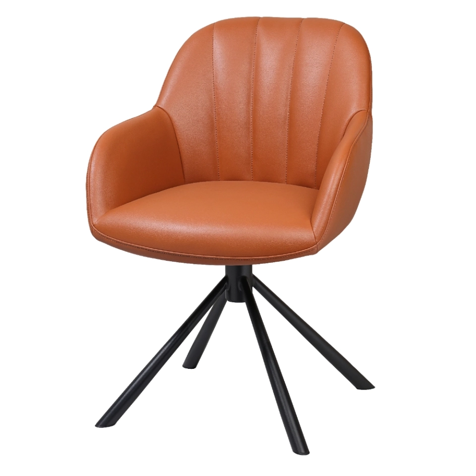 GAVIN F709PZ013