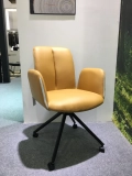 IRIS F597 (3)