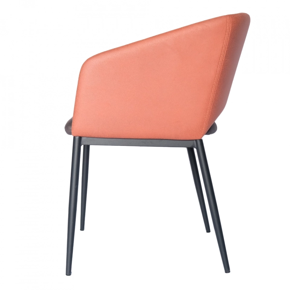 Medyls - Modern Armrest Backrest And Seat Bag Are Different Colors Sandy Black Powder Coating Dining Chair Factory Outlet Hot Sale DINING CHAIR (3)