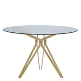 Modern Simple Dining Table Clear Glass&Metal Leg Kitchen OEM Engineer Living Packing Room Furniture DINING TAB- Medyls (4)