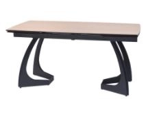 TABLE E509