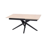 TABLE E528P-GN (2)