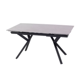 TABLE E531P-GN (2)