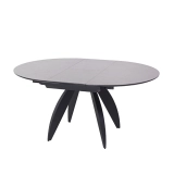 WHIRLIGIG E520P-GN