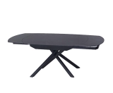 WHIRLIGIG E521P-GN